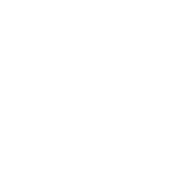 PPMA